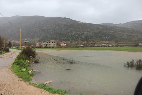 النبطية