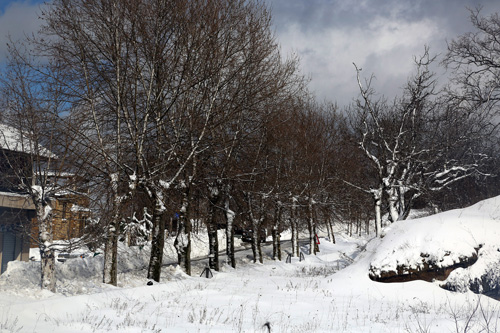 أجمل صور رسمها الثلج في جبل لبنان