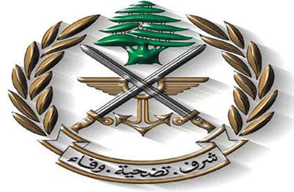 عملية أمنية نوعية للجيش اللبناني