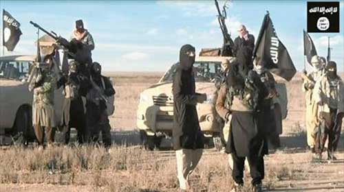 عندما يتحول العنف الى عقيدة