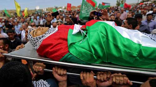 في غياب العدالة الدولية.. الضحية في مواجهة الجلاد في محاكم العدو 