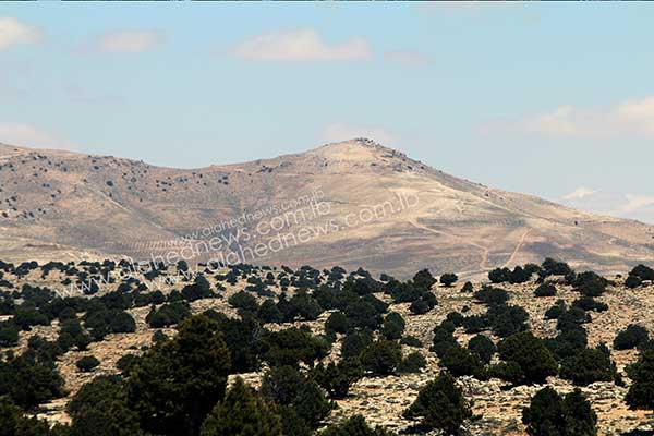 حزب الله وخيار الانتحار