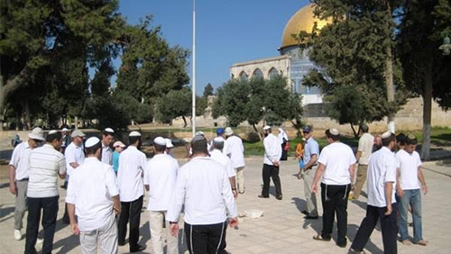 مستوطنون صهاينه يدنسون باحات المسجد الاقصى المبارك دعوات فلسطينية لتوحيد الصف ووقف التنسيق الأمني مع الاحتلال