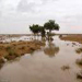 السودان بعد انفصال الجنوب : تجدد الحرب !
