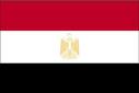 مصر هي اختبار  لسير مسار الشرق الأوسط الجديد
