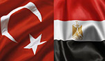 إن التوقع البولاني بأن الاقتصاد السوقي المضطرب سيؤدي إلى حركات وسياسات تسعى إلى &rsquo;ترسيخ&rsquo; وغرس السوق في مجتمع بحاجة للتعديل عن طريق التدقيق أكثر بالسياقات التاريخية والدينية والسياسية.