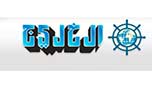 التدخل الخائب