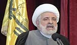 الشيخ قاسم: لإنجاز الاستحقاق الانتخابي الرئاسي في موعده 