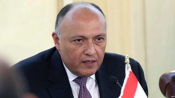 وزير الخارجية المصري: الحل العسكري للأزمة السورية أثبت عدم جدواه