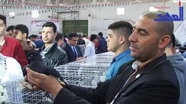 هواية في غزة حولها حصار الصهاينة الى مهنة