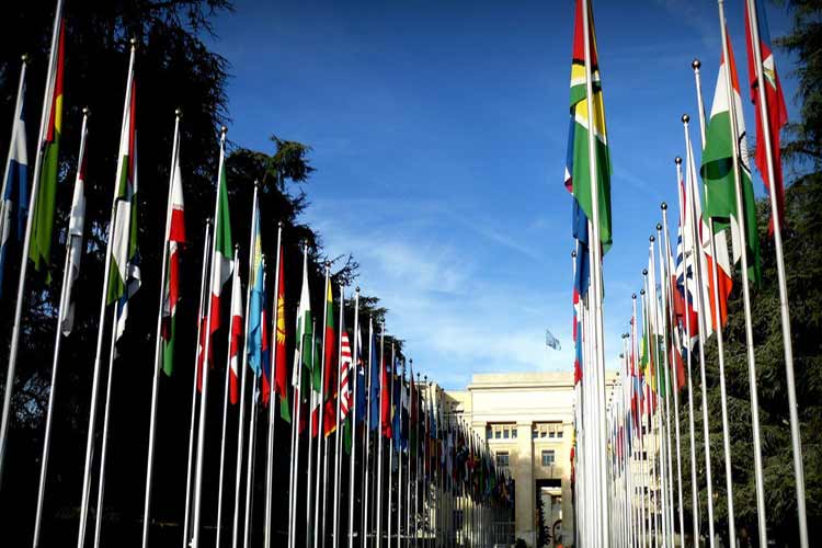 الأمم المتحدة تحقق في أنباء عن مقتل 120 مدنيًا في غارات فرنسية في سوريا