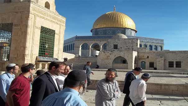 في &rsquo;يوم عرفة&rsquo;: المستوطنون يستبيحون الأقصى.. وحداد عام في بيت لحم على الشهيدة الطفلة لمى موسى