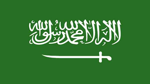 أمراء يريدون &laquo;تغيير العالم&raquo;... ومحمد بن سلمان &laquo;سوبر ستار&raquo;