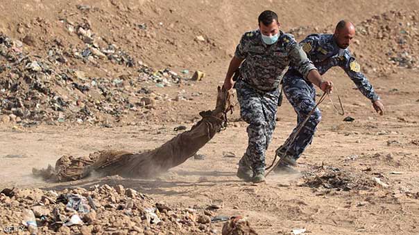 مقبرة كشفت الجريمة.. &rsquo;داعش&rsquo; قتل 300 شرطي بالموصل