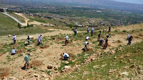 بعد &rsquo;شجرة لكل مواطن&rsquo; في الجنوب .. &rsquo;عيد الشجرة&rsquo; في بعلبك