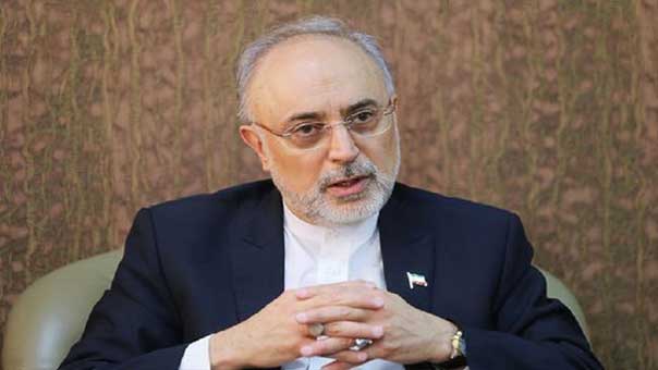 صالحي: تدشين مفاعلين نوويين جديدين في بوشهر يوفر لإيران 22 مليون برميل من النفط سنويًا