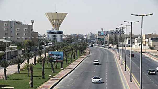 في المملكة أبطال وللمكون الشيعي دور في إعمار الوطن