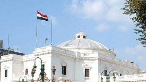 رئيس لجنة الشؤون العربية بالبرلمان المصري: البرلمان المصري يدعم الحلول السلمية في سوريا