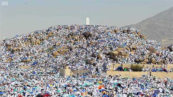 حجاج بيت الله الحرام يقفون اليوم على صعيد عرفة
