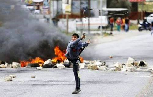 فدائيو انتفاضة القدس: شعب فلسطين يحكم بالسكين 