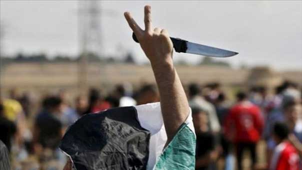 عام 2015 فلسطينياً: انتفاضة أربكت الاحتلال.. ومعاناة بانتظار صحوة دولية تنصف الضحية
