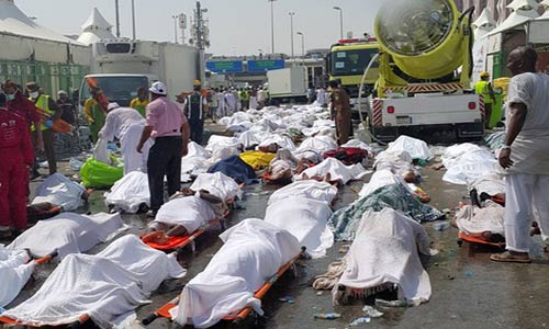 في محضر &rsquo;الأضحى&rsquo;.. أبواق آل سعود تُضحي بالحقيقة 