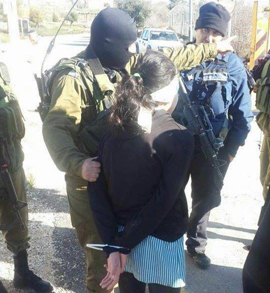 إعتقال فتاة وطفلة بزعم محاولتهما تنفيذ عمليتي طعن في القدس والخليل .. والمستوطنون يواصلون تدنسيهم للأقصى