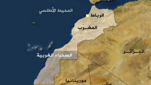 في طلب انضمام المغرب إلى الاتحاد الإفريقي
