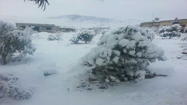 بالصور: الأبيض يغطي قرى الهرمل البقاعية