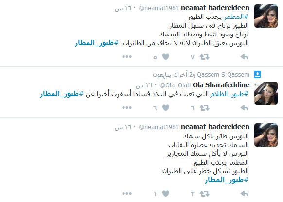 #طيور_المطار.. شرّ البلية ما يضحك