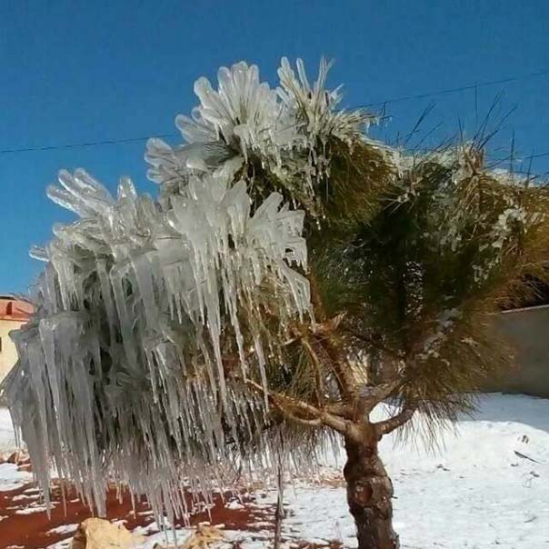لوحات من الجليد في بعلبك