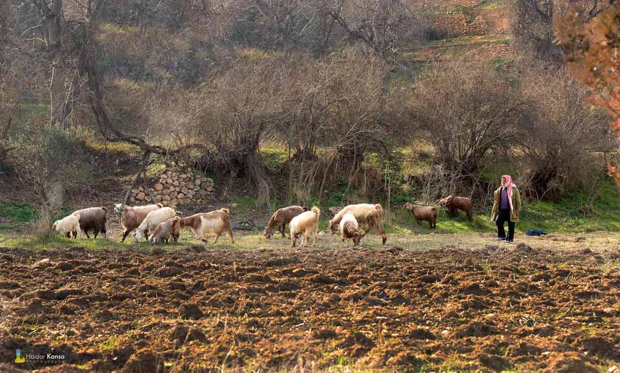 بعلبك &ndash;الهرمل: &rsquo;حديث&rsquo; ذو شجون