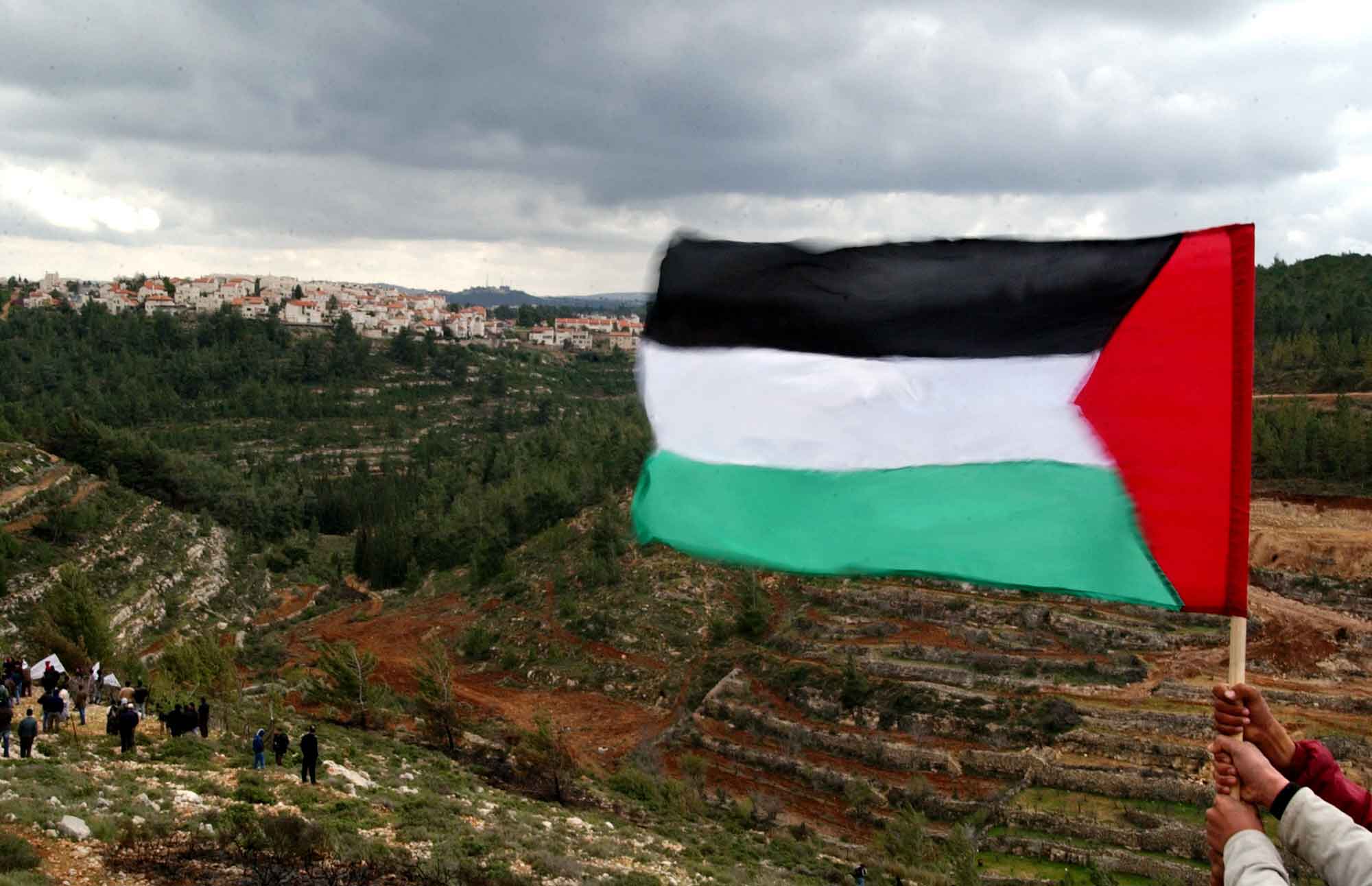 فلسطين لم تعد تعنينا