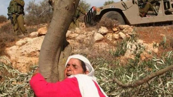 41 عاماً على ’يوم الأرض’ والفلسطينيون يكافحون الاستيطان.. بالزراعة