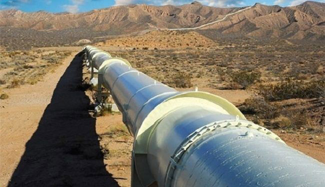 أنظمة ساقطة ومنسأة باقية!