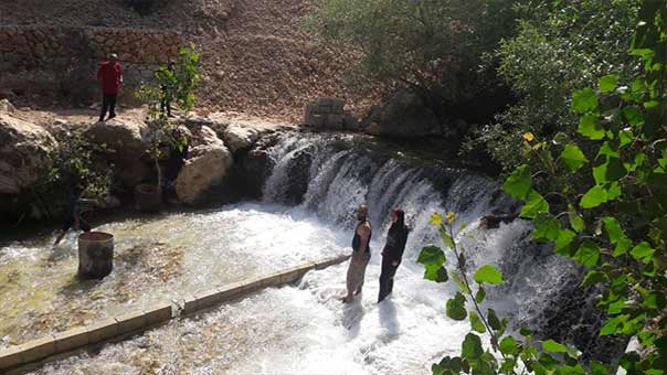 بالصور: عين الزرقاء استقبل الهاربين من حرارة الطقس