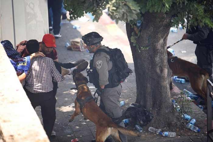 بالصور: شهداء وأكثر من 390 إصابة باعتداءات صهيونية على مظاهرات الفلسطينيين نصرة للأقصى