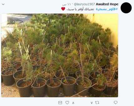 الشجرة وصيّة &rsquo;السّيد&rsquo;.. وشعب المقاومة يلبّي