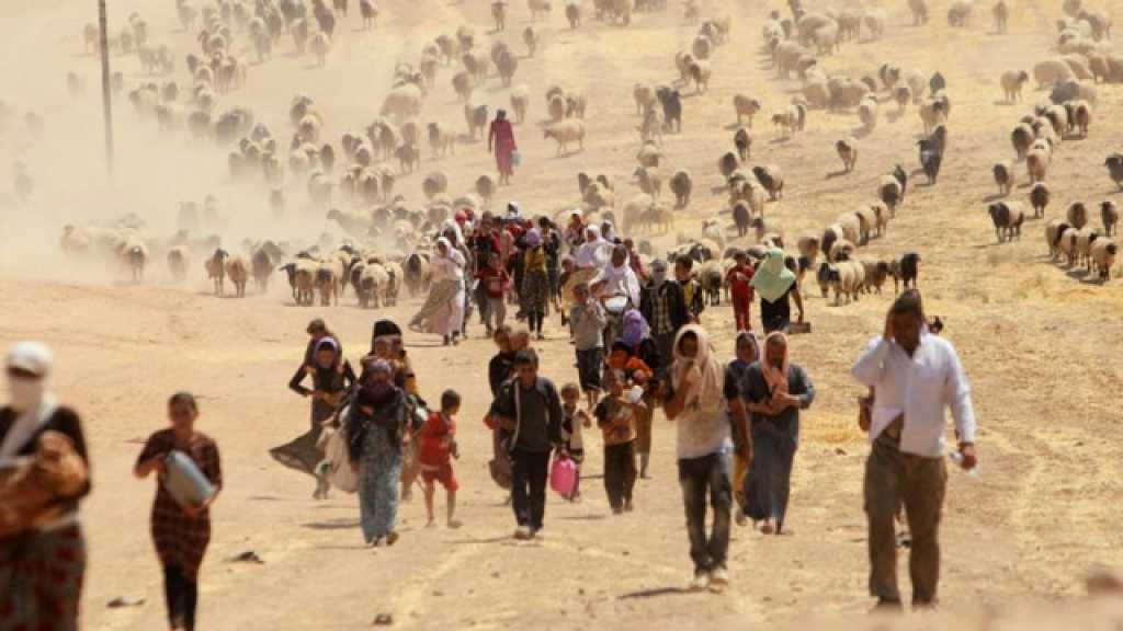 نصف مختطفي الإيزيديّين ما زالوا في قبضة &rsquo;داعش&rsquo;