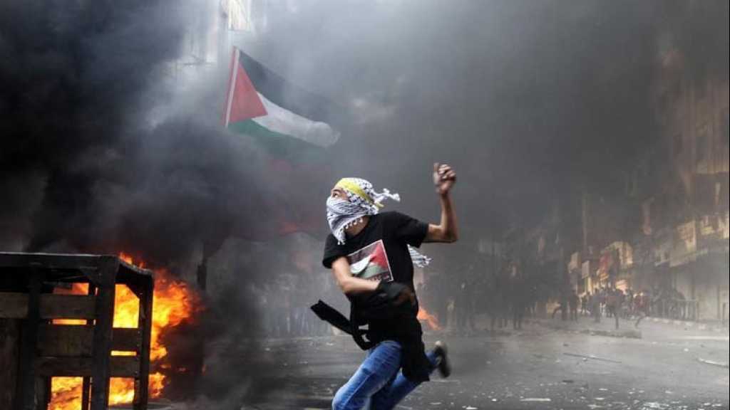 يوم غضب فلسطيني .. انتفاضة الضفة والقطاع مستمرة ومئات المصابين في صفوف الشبان الفلسطينيين