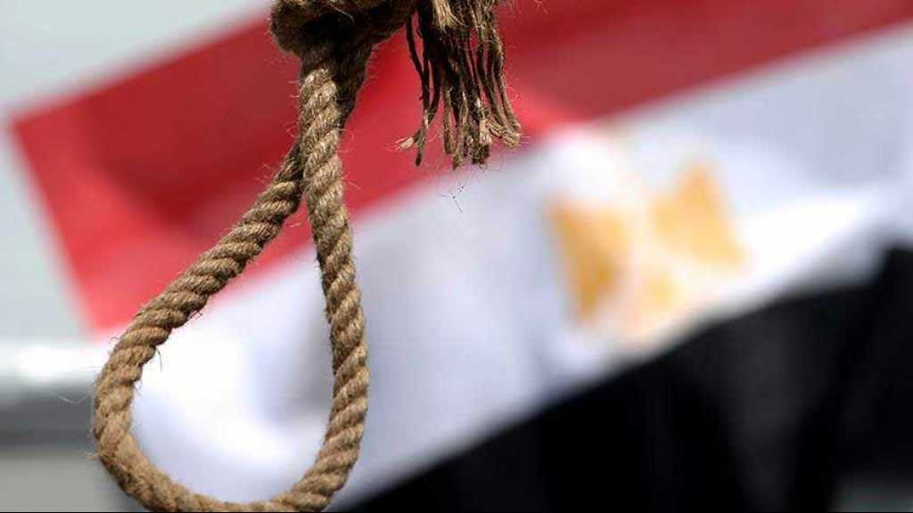  إعدام 15 مصريًا على خلفية قتلهم عسكريين شمال سيناء