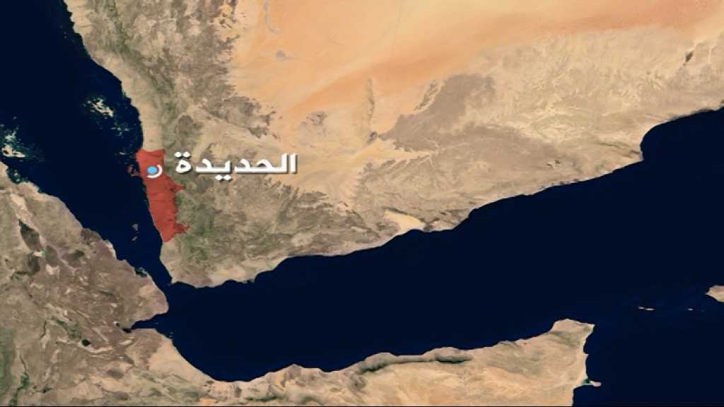 في جريمة جديدة للعدوان السعودي في الحديدة: استشهاد 14 مواطناً بينهم أطفال ونساء&nbsp;