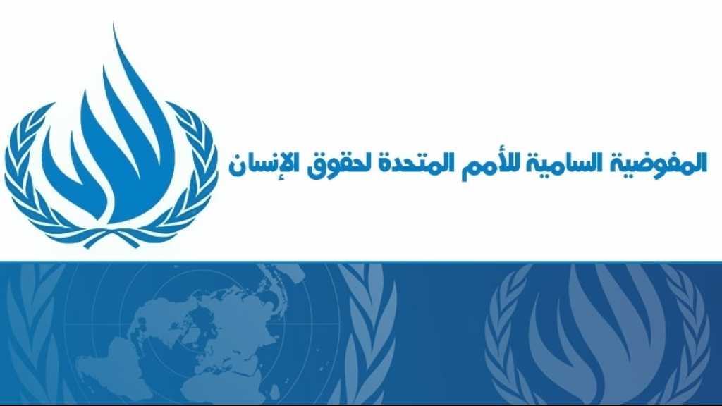 تقرير أممي &rsquo;قاتم&rsquo; بشأن الوضع الحقوقي في الإمارات