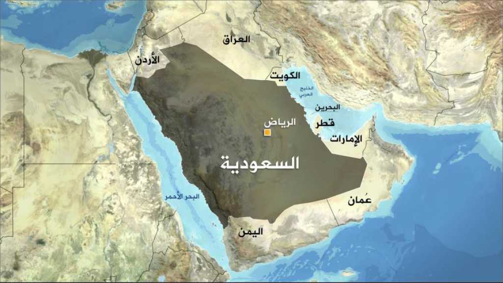 &rsquo;لوب لوغ&rsquo;: تحركات سعودية في أفريقيا خوفًا من تأثير المشاريع الإيرانية