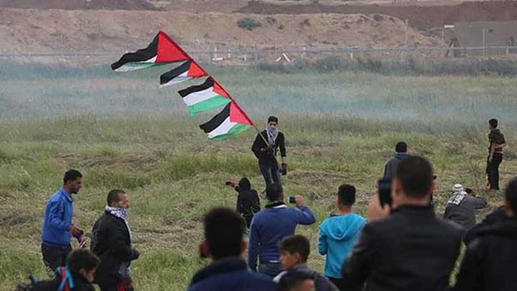 فلسطين: يوم حداد وطني على أرواح شهداء &rsquo;يوم الأرض&rsquo;