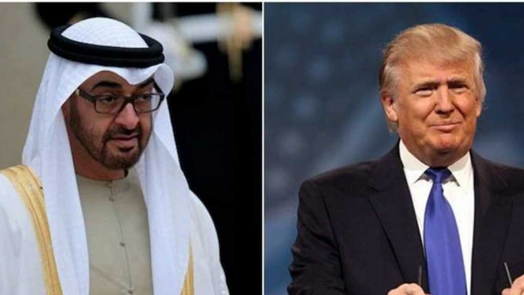 ترامب وابن زايد يشدّدان على أهمية زيادة التنسيق الخليجي الأمريكي
