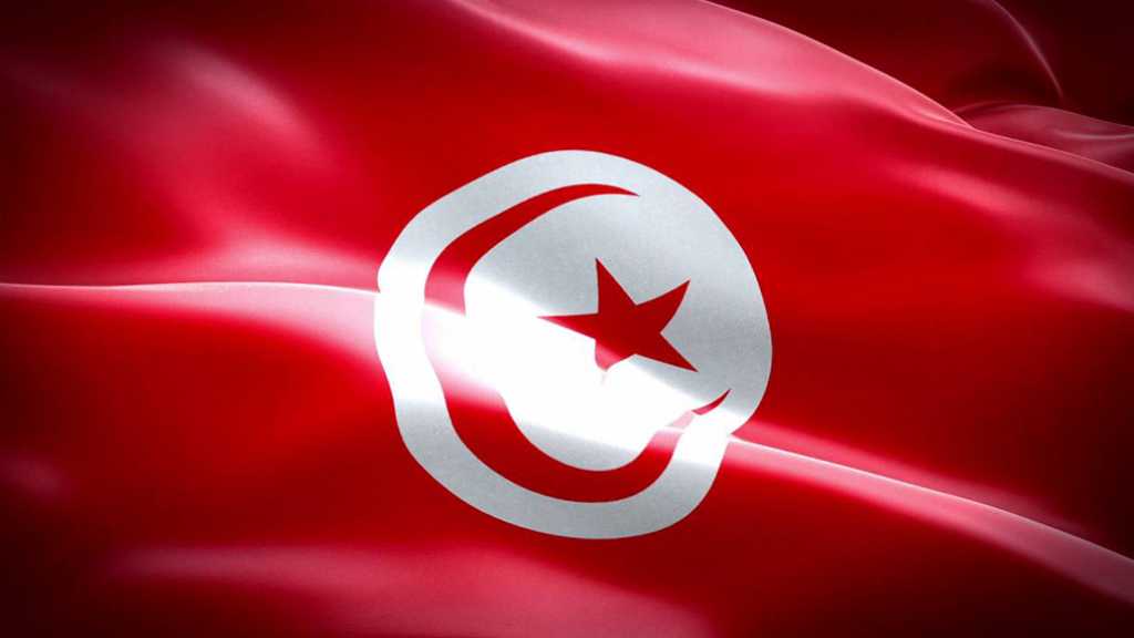 تونسيون يرفضون العدوان على سوريا: ربيع دمشق سيبدأ مع الانتصار