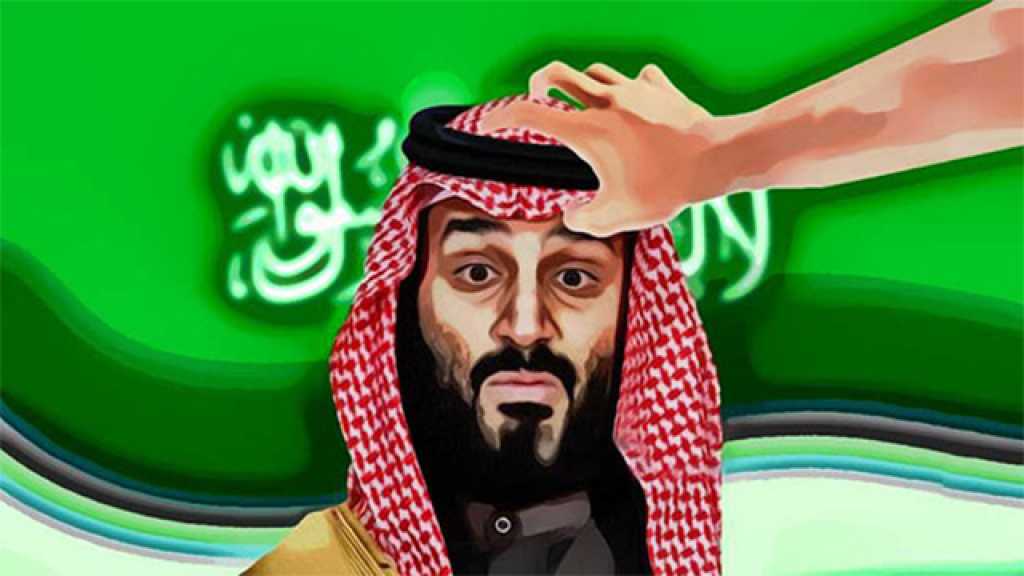 مريم آل ثاني تستشهد بمقال &rsquo;العهد&rsquo; للسخرية من ابن سلمان: فيه قمل!