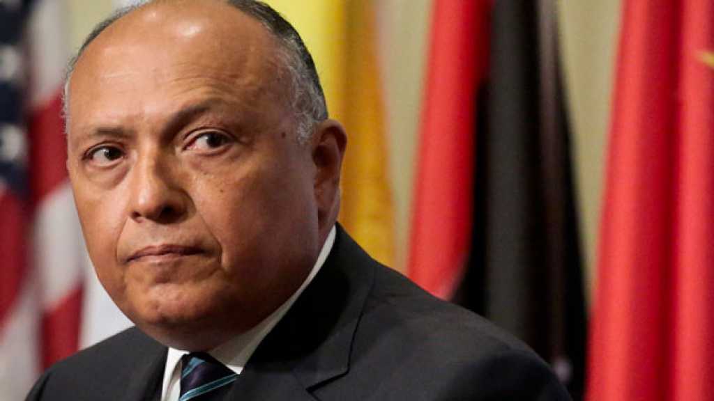 وزير الخارجية المصري رداً على مقترح أميركي: لن نرسل قواتنا إلى الخارج