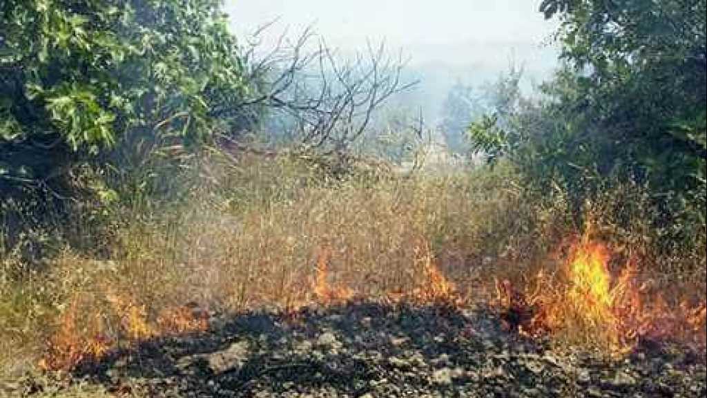 بالصور: إرهابيو &rsquo;النصرة&rsquo; يفتعلون حرائق في الأراضي الزراعية في ريف القنيطرة